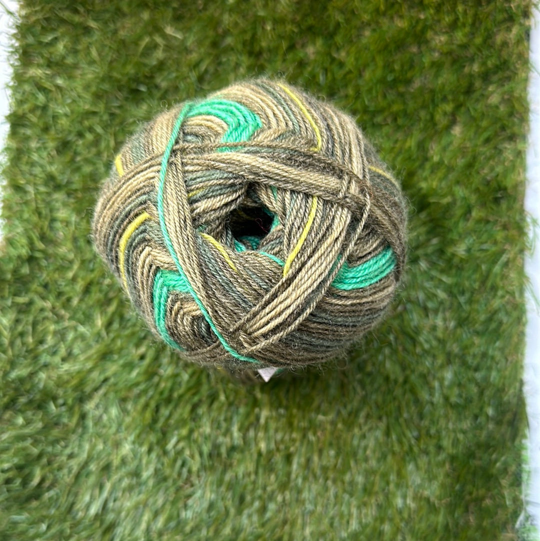 Funny Feetz 4ply Sock Yarn - FBZ22